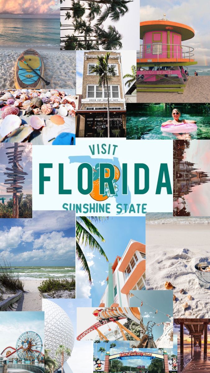 Top 5 Group Travel Destinations in Florida and How to Get There with Ease